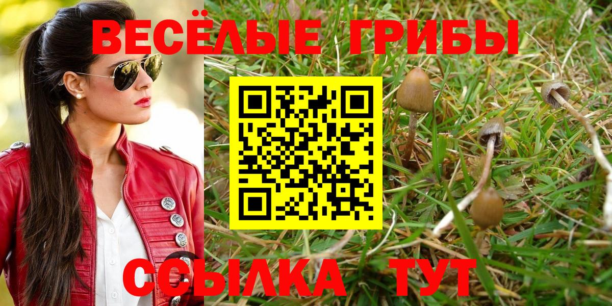 Псилоцибиновые грибы мухоморы Узловая