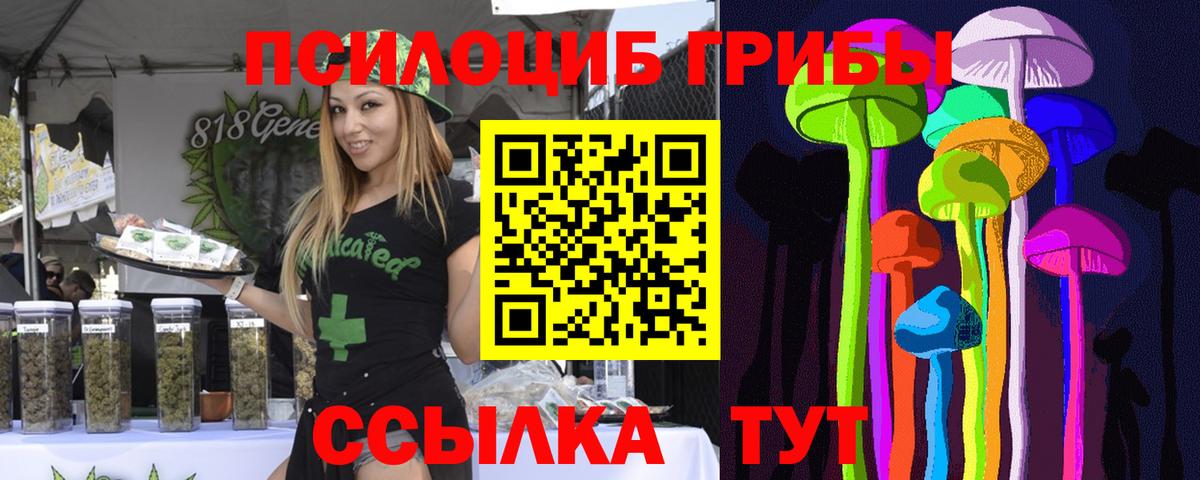 Узловая  Псилоцибиновые грибы Magic Shrooms  даркнет сайт  Вход с VPN  Галлюциногенные грибы Psilocybine cubensis 